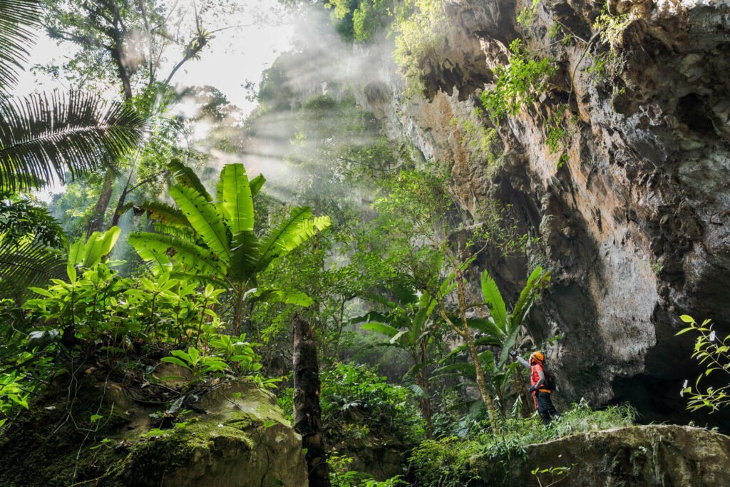 World's largest cave - Son Doong in Vietnam has its own jungle, river & climate 4 World's largest cave - Son Doong in Vietnam has its own jungle, river & climate