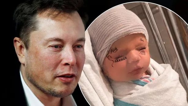 Elon Musk's family Diary - Making babies to save the planet