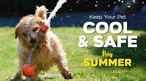 Stay cool Stay Safe - Beat The Heat when mercury goes up