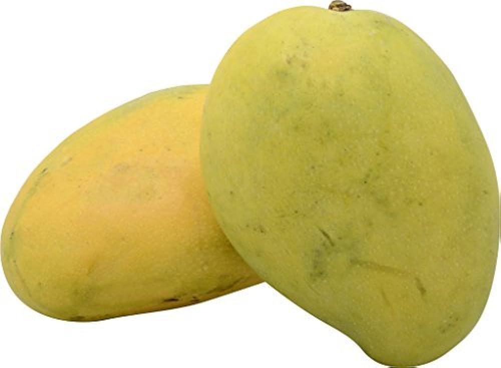 Get Ready ! King of Fruits 'Mango' has arrived