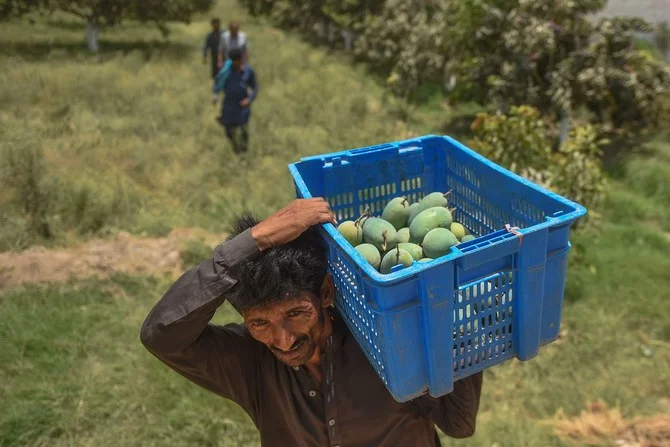 Fruit farmers decry federal excise duty endangers pulp procurement
