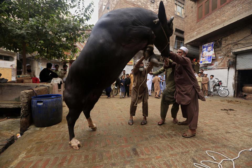 Eid ul Azha Around the World 10 Eid ul Azha Around the World