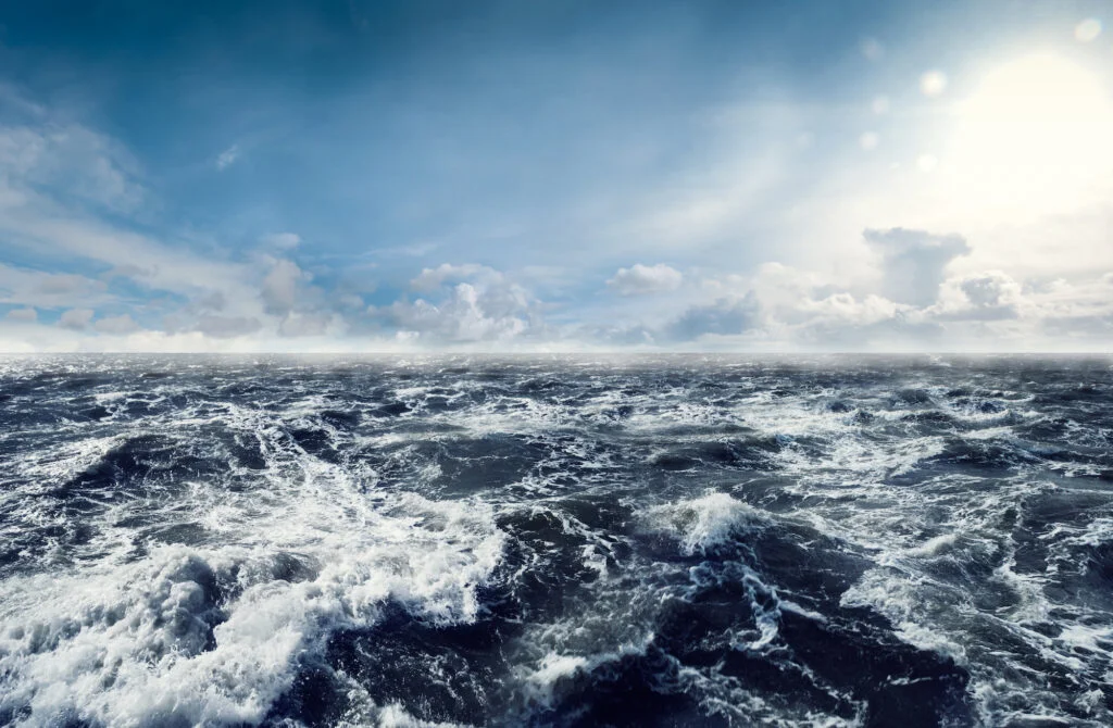 "World Oceans Day 2024 - Top Ten Oceans Facts