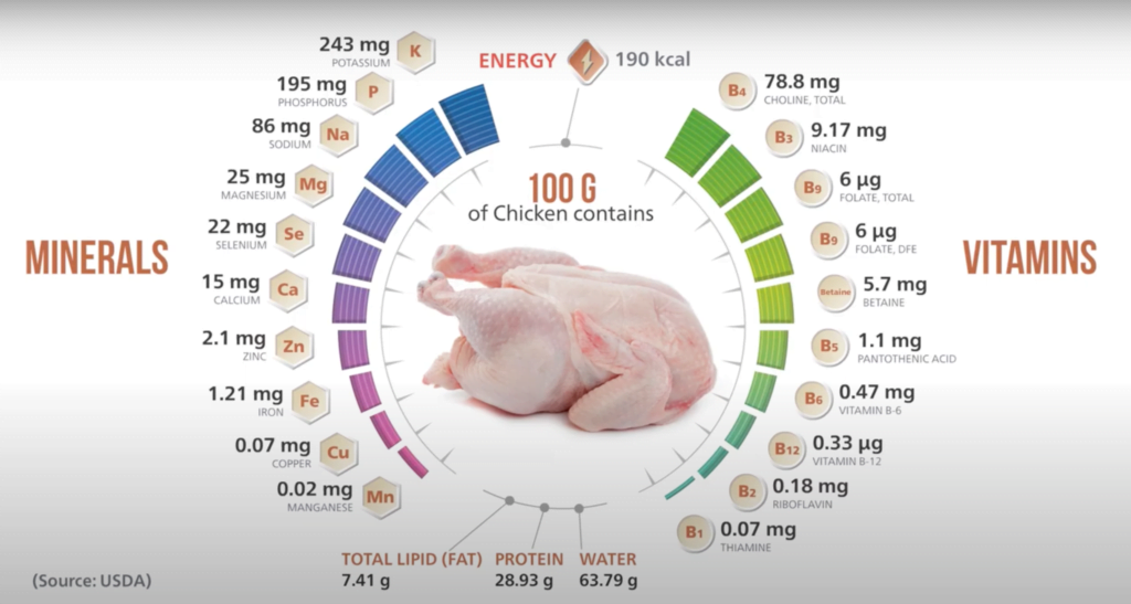 Chicken Chronicals - The Good , The Bad and the feathers of Chicken