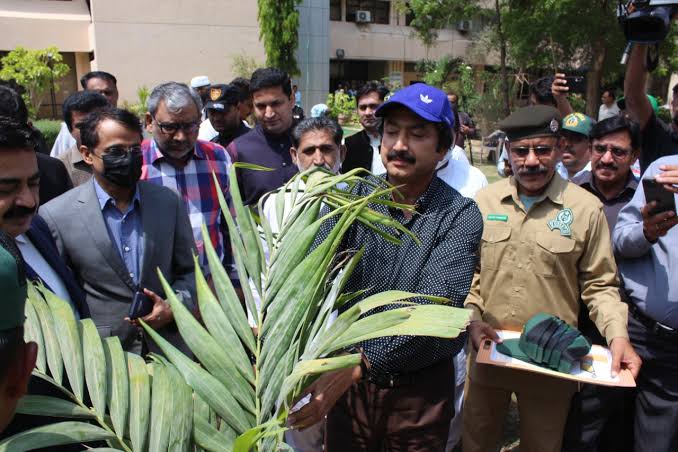 Karachi Plantation Drive by Chief Secretary Sindh200,000 Trees will be Planted Across the City in August 24