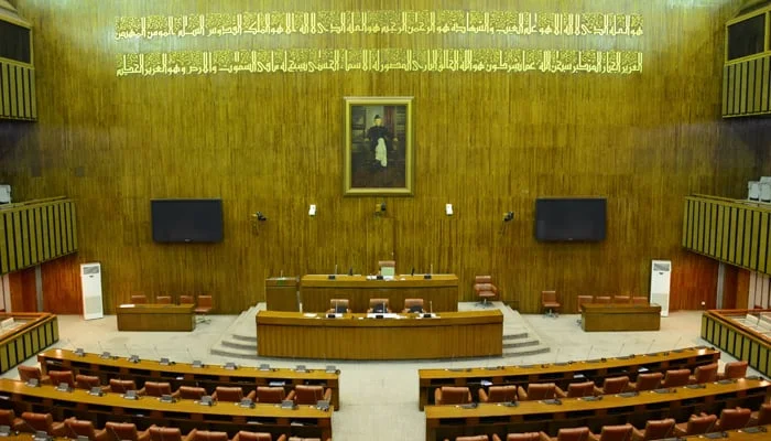 IPPs Under Fire Senate Committee Demands Forensic Audit of Contracts