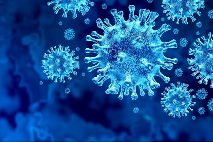 Pandemic Again? WHO Discovers 30 Corona-Like Pathogens