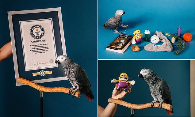 Meet Apollo The Record Breaking Parrot With his extraordinary Naming Skill