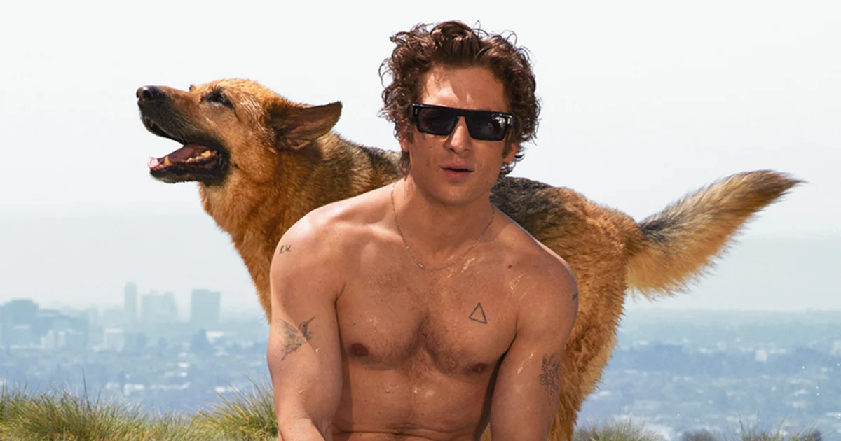 Jeremy Allen White Shines in Calvin Klein's Fall 2024 Campaign