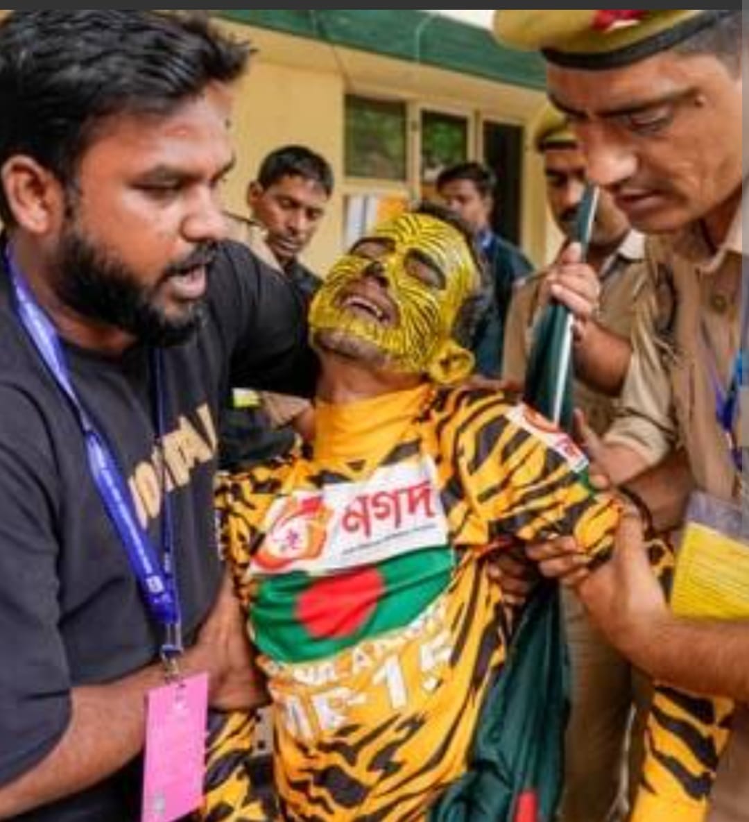 Concerns about safety and sportsmanship arise following an altercation involving a fan dressed as a tiger.