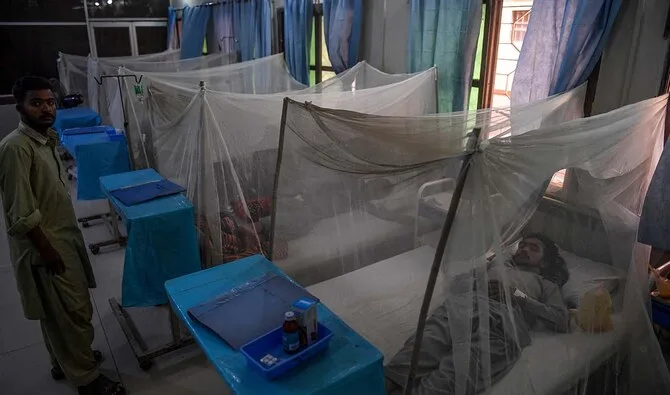 Rising Dengue Case - Prompt Emergency Declared in Rawalpindi