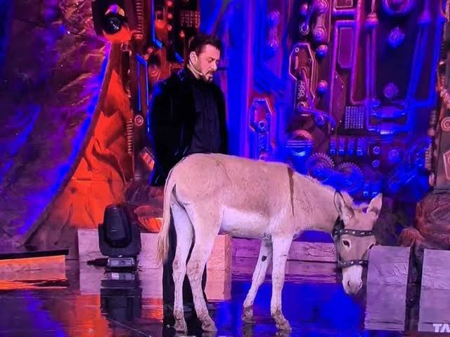 Donkey in Bigg Boss 18 - PETA Urges Salman Khan for Animal Compassion