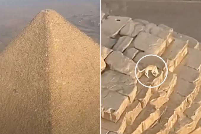 Unexpected Visitor: Viral Video Shows Dog atop Egypt's Great Pyramid