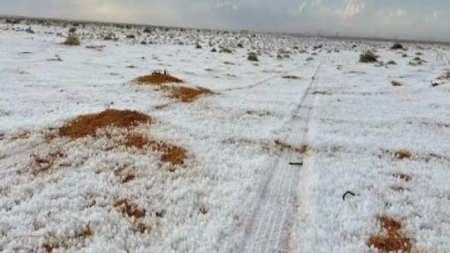 Saudi Arabia’s Desert Transforms into a Winter Wonderland with Historic Snowfall