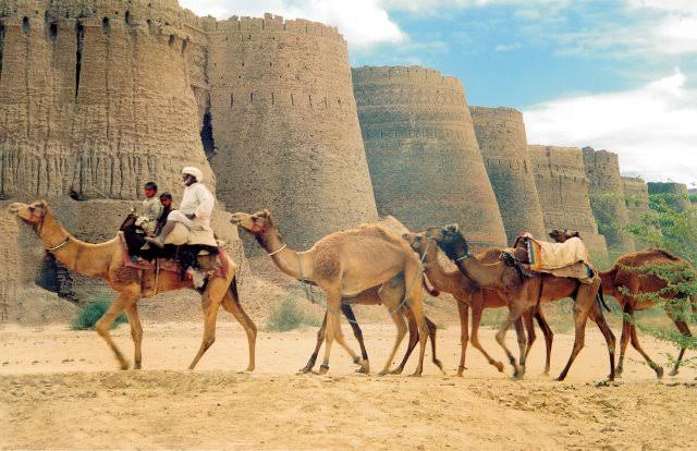 Cholistan Unplugged- Adventure, Stars, and Ancient Mysteries Await