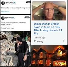 Divine Justice-Pro Gaza Genocide James Woods Cries Over His Own Home Loss 2 Divine Justice-Pro Gaza Genocide James Woods Cries Over His Own Home Loss