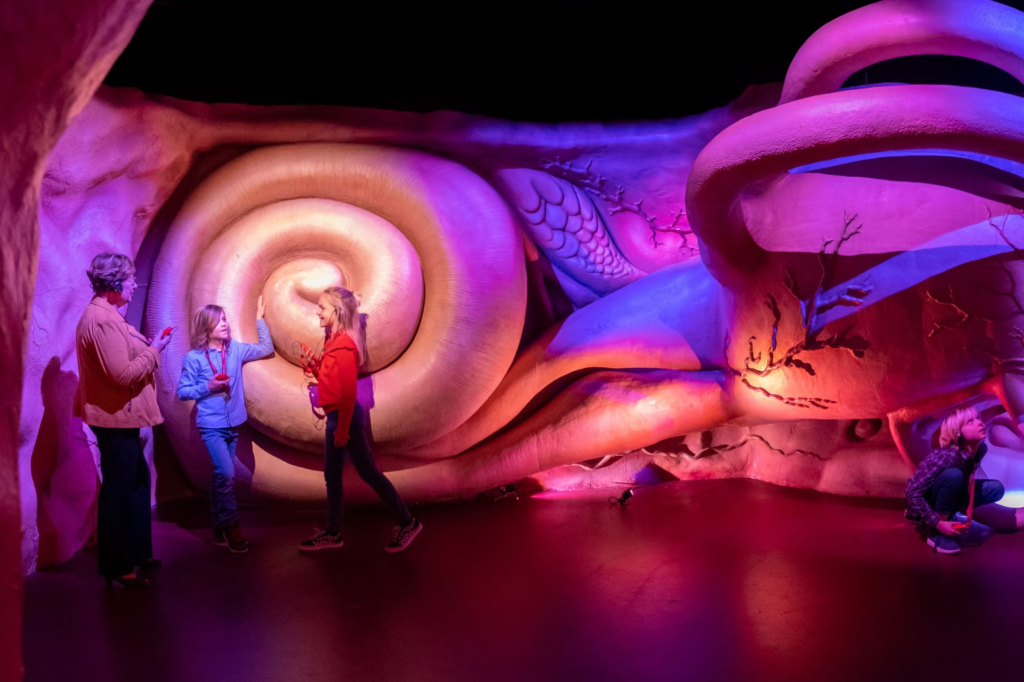 Corpus Museum - Explore the Wonders of the Human Body 1 Corpus Museum - Explore the Wonders of the Human Body