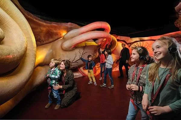 Corpus Museum - Explore the Wonders of the Human Body 3 Corpus Museum - Explore the Wonders of the Human Body