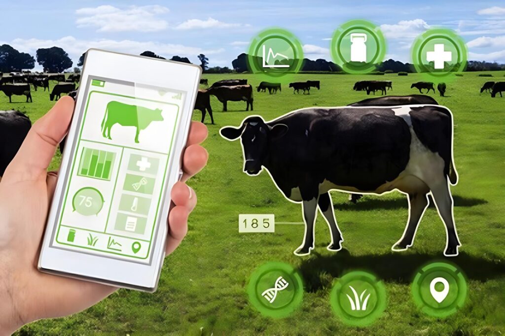'Go Cashless' This Eid - State Bank Turns Cattle Markets Digital 3 'Go Cashless' This Eid - State Bank Turns Cattle Markets Digital