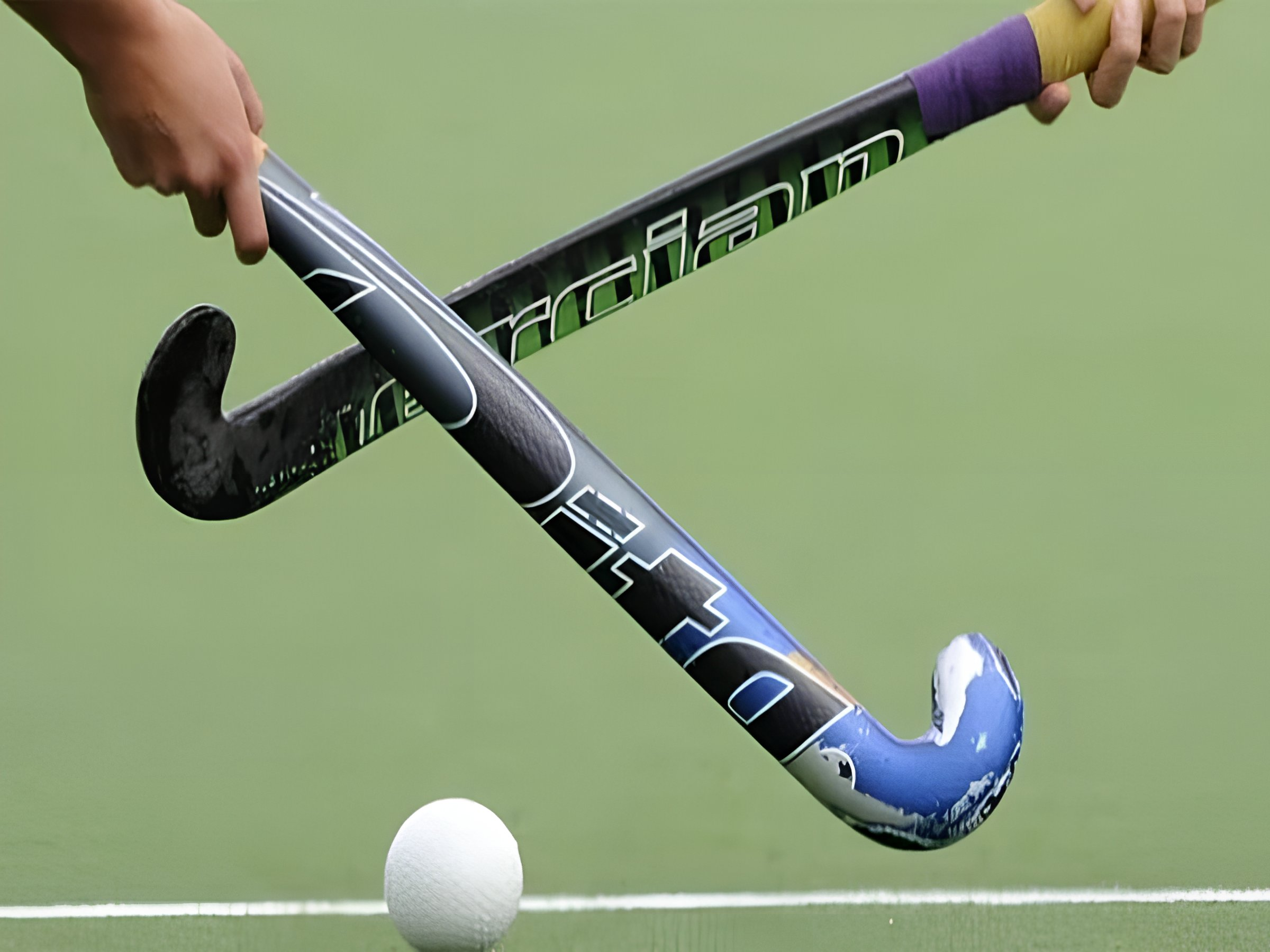 envato-labs-image-edit (7)-2