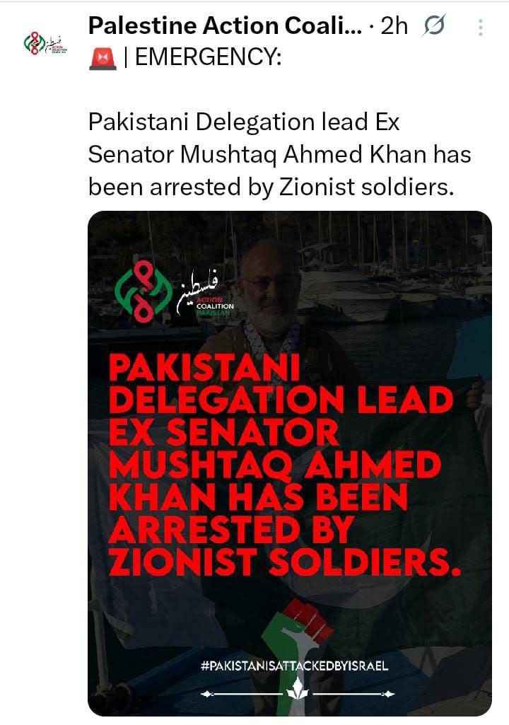 Gaza Flotilla Intercepted by Israel, Greta Thunberg Arrested