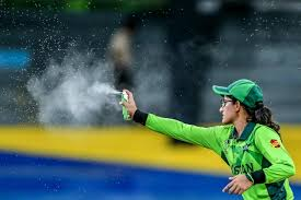 Bugged Out! When Cricket Turned into Pest Control Showdown