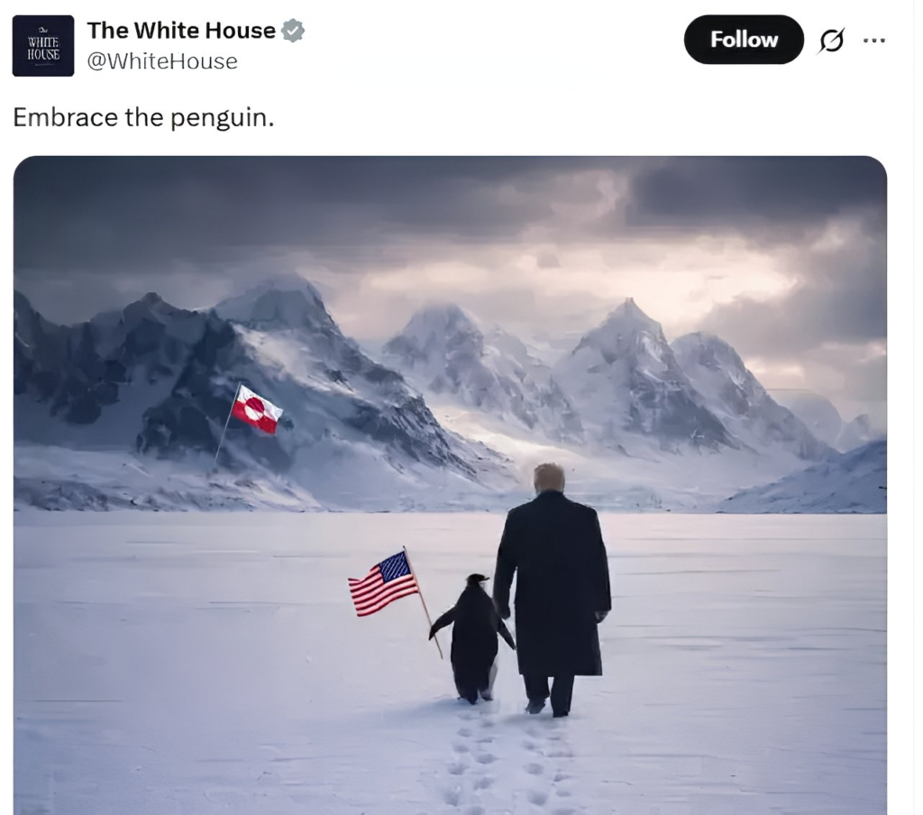 The Despairing Penguin – The Viral Trend on Internet 2 The Despairing Penguin – The Viral Trend on Internet